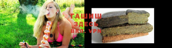 прущие грибы Алзамай