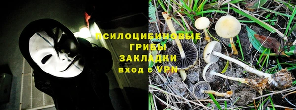прущие грибы Алзамай