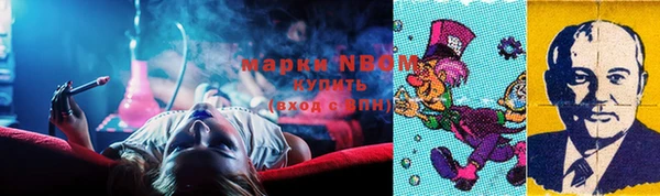 прущие грибы Алзамай